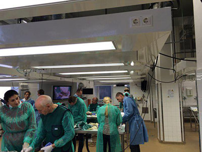 Aufbaukurs minimal-invasive Fußchirurgie in Innsbruck